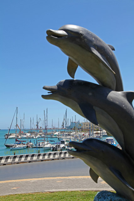 dophins of Heraklion